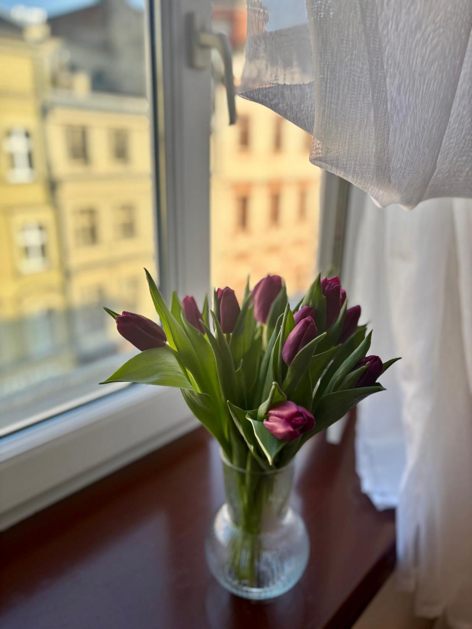 Vintage Senacka 9/7 Apartment Krasków Eksteriør bilde